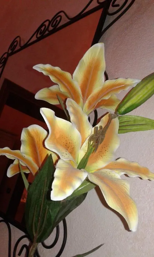 Bed and Breakfast Il Giglio D'Oro Arezzo